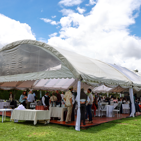 dokko eventos
